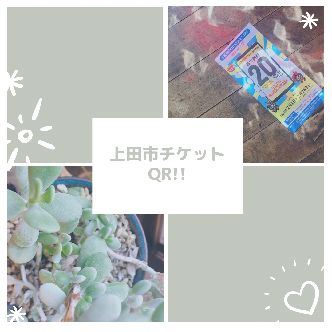 31C37A0D-C830-40EC-9B07-53D00A31A1F3.png